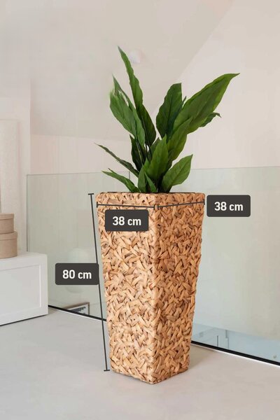 Květináč WILD, vodní hyacint, výška 80 cm, natur