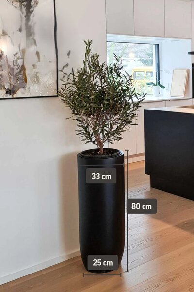 Květináč SOLERIO, výška 80 cm, sklolaminát, černá