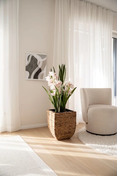 Květináč ASIA, vodní hyacint, výška 40 cm, natur, outlet