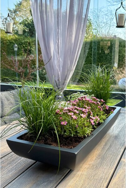 Miska na květiny ZOEY, sklolaminát, šířka 64 cm, antracit