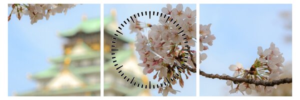 Obraz - Sakura (s hodinami) (90x30 cm)