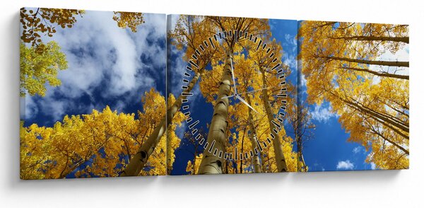 Obraz - Aspen (s hodinami) (90x30 cm)