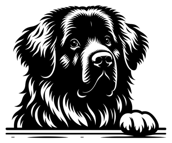 Samolepka pes Leonberger
