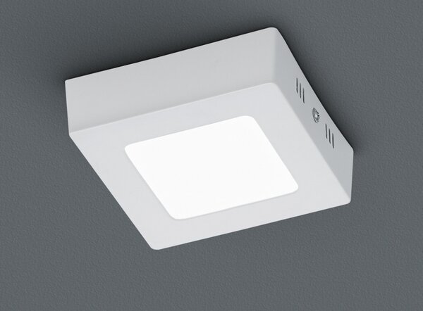 Trio Leuchten 657110601 ZEUS - LED stropní čtvercové svítidlo 5,5W, 3000K, 12 x 12cm (LED stropní přisazené svítidlo v bílé barvě)