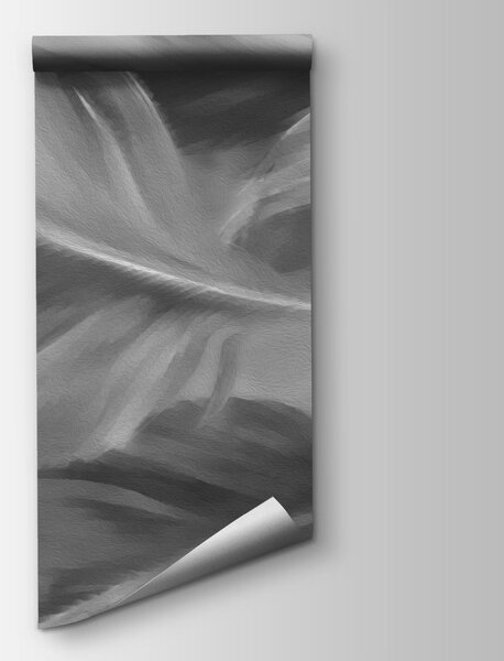 Fototapeta Skupina peří v černé a bílé barvě, Fototapety s pírky, Populární fototapety - Tapeko.co.cz