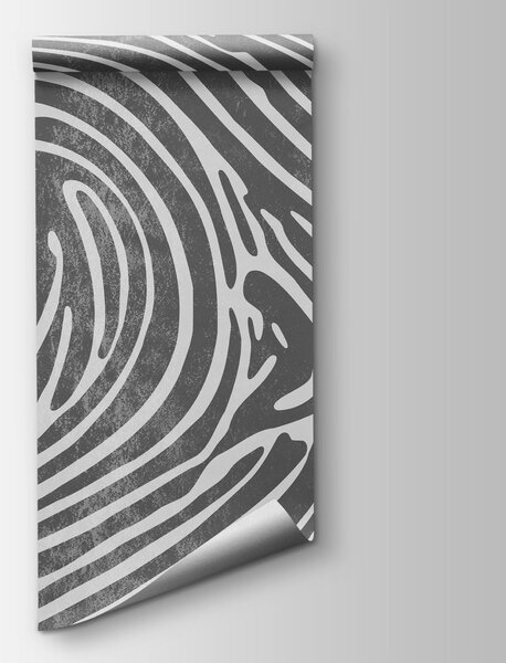 Fototapeta Šedobílý vířivý vzor, Abstraktní fototapety, Populární fototapety - Tapeko.co.cz