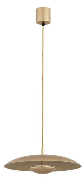 Argon 8869 - LED Lustr na lanku BOLTON LED/12,5W/230V 3000K zlatá