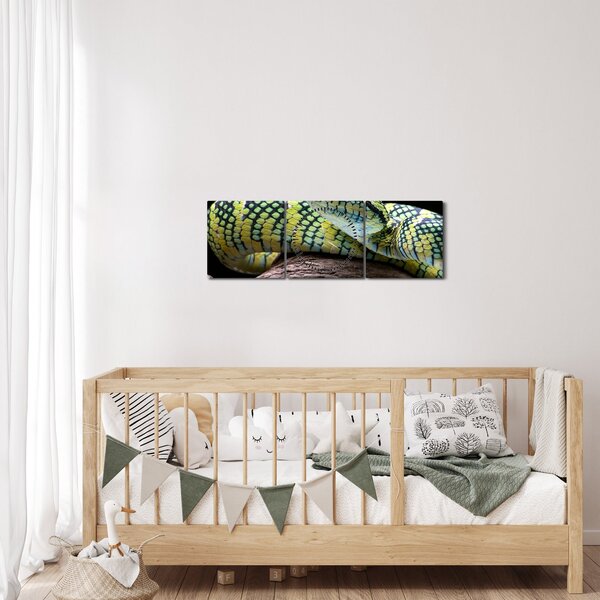 Obraz - Chřestýšovec Waglerův (s hodinami) (90x30 cm)