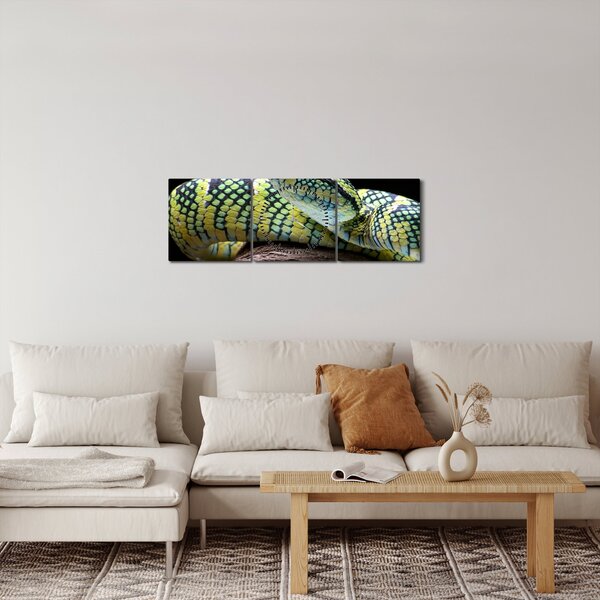 Obraz - Chřestýšovec Waglerův (s hodinami) (90x30 cm)