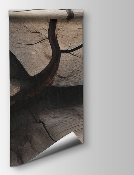 Fototapeta Přírodní vzory ve zvětralém dřevě, Abstraktní fototapety, Populární fototapety - Tapeko.co.cz