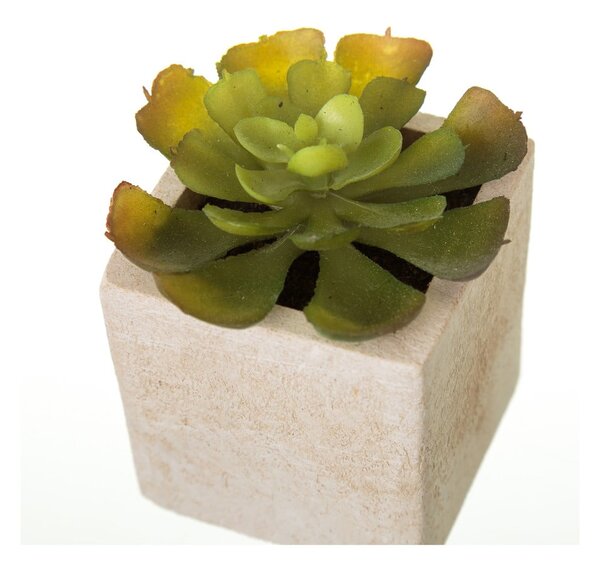 Umělé rostliny v sadě 6 ks (výška 9,5 cm) Cactus – Casa Selección