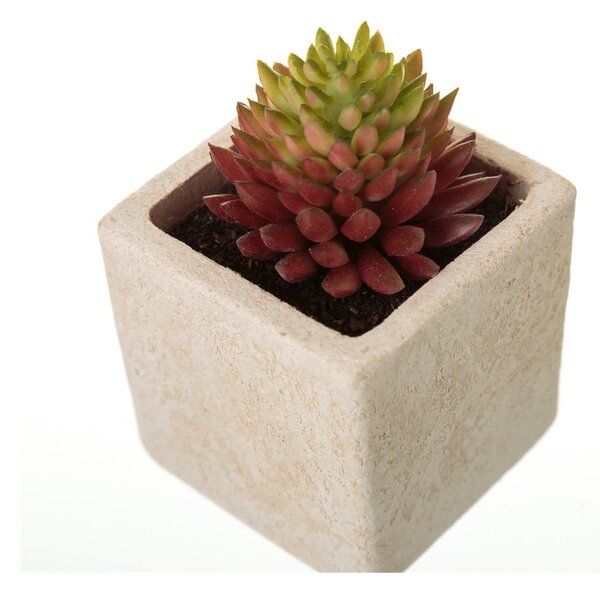 Umělé rostliny v sadě 6 ks (výška 9,5 cm) Cactus – Casa Selección