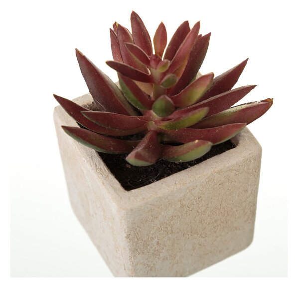 Umělé rostliny v sadě 6 ks (výška 9,5 cm) Cactus – Casa Selección
