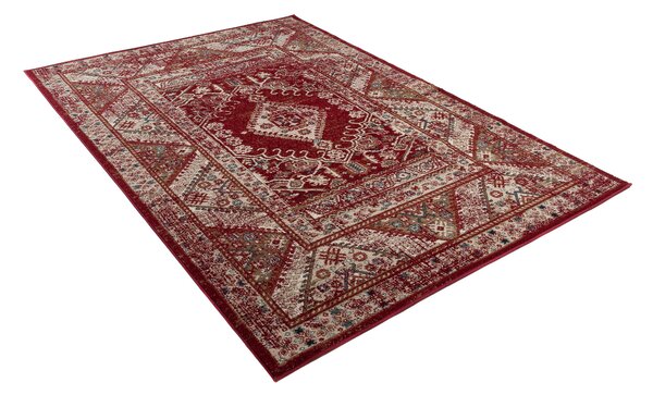 Makro Abra Kusový koberec klasický DUBAI L429A červený Rozměr: 180x260 cm
