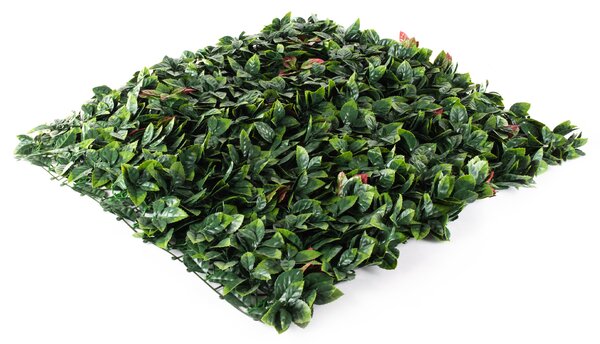 Umělý živý plot Hawaj Blýskalka Photinia červená Stěna 100 x 100 cm