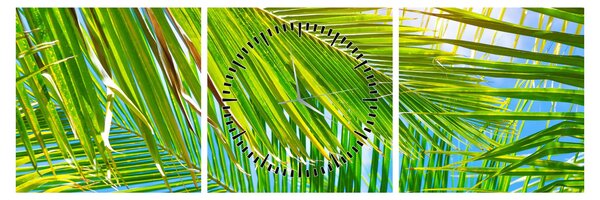 Obraz - Palmové listy (s hodinami) (90x30 cm)