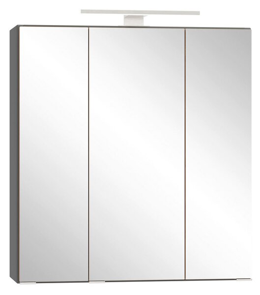 ZRCADLOVÁ SKŘÍŇKA, divoký dub, šedá, 60/64/20 cm Held - Online Only koupelnové skříňky, Online Only