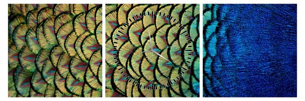 Obraz - Páví peří (s hodinami) (90x30 cm)