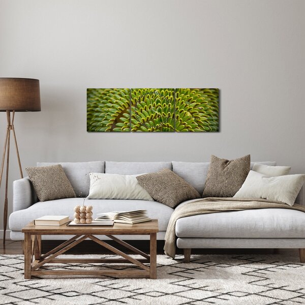Obraz - Kapradina (s hodinami) (90x30 cm)