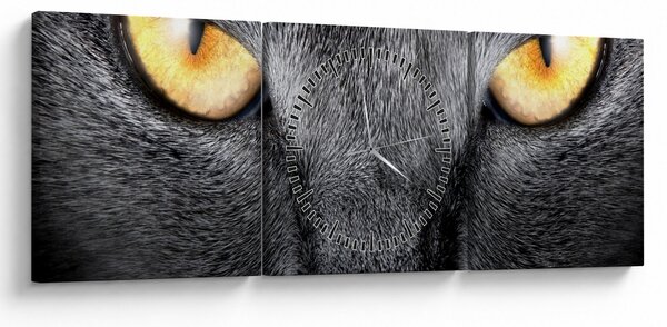 Obraz - Blízký portrét kočky (s hodinami) (90x30 cm)