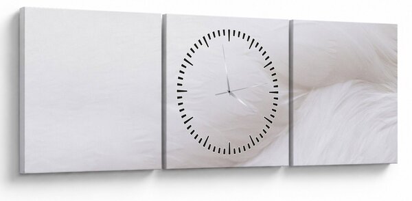 Obraz - Bílé pírko (s hodinami) (90x30 cm)