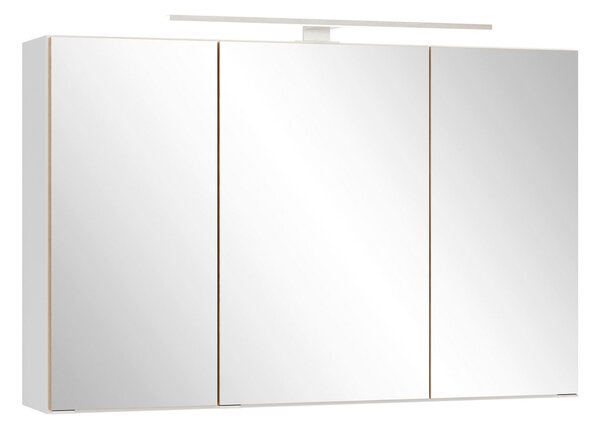 ZRCADLOVÁ SKŘÍŇKA, divoký dub, bílá, 100/64/20 cm Held - Online Only koupelnové skříňky, Online Only