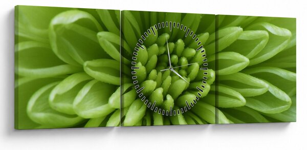 Obraz - Makro snímek rostliny (s hodinami) (90x30 cm)