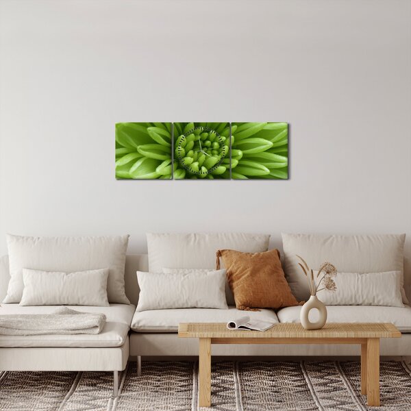 Obraz - Makro snímek rostliny (s hodinami) (90x30 cm)