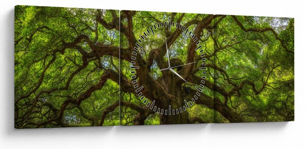 Obraz - Zelený strom (s hodinami) (90x30 cm)