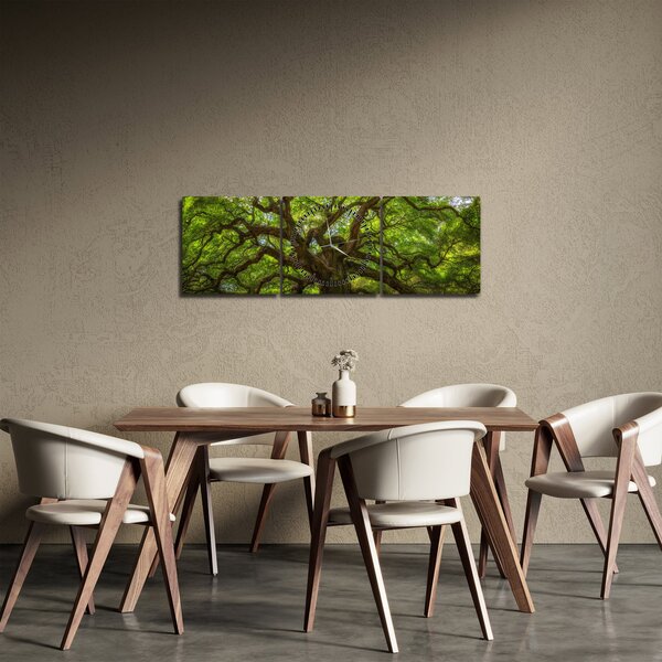 Obraz - Zelený strom (s hodinami) (90x30 cm)