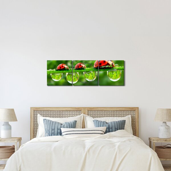 Obraz - Slunéčko sedmitečné (s hodinami) (90x30 cm)