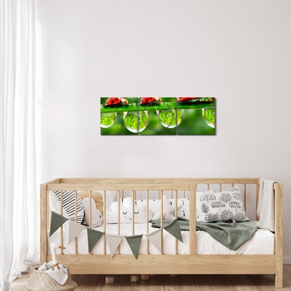 Obraz - Slunéčko sedmitečné (s hodinami) (90x30 cm)