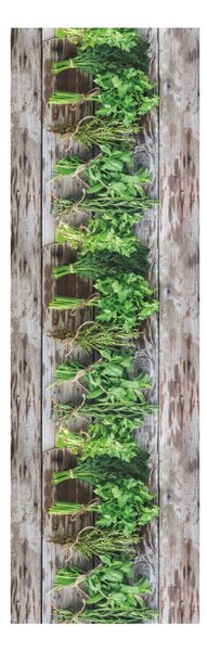 Hnědo-zelený běhoun Floorita Aromatica, 58 x 80 cm