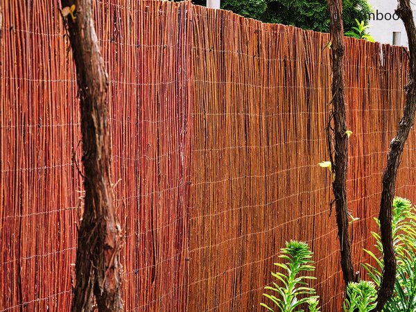 Vrbové oplocení Basic 300 x 100 cm