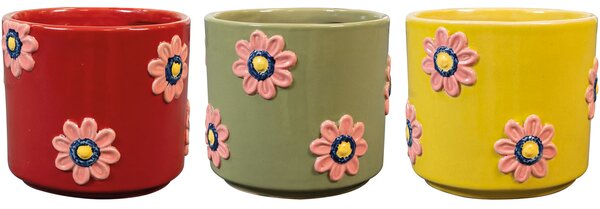 Ter Steege 3 obaly Sadie color D14 H13