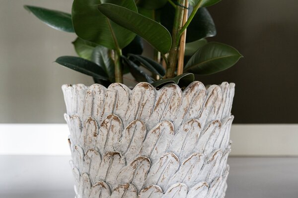 Ter Steege Sada 4 obalů Pine ivory D36 H27