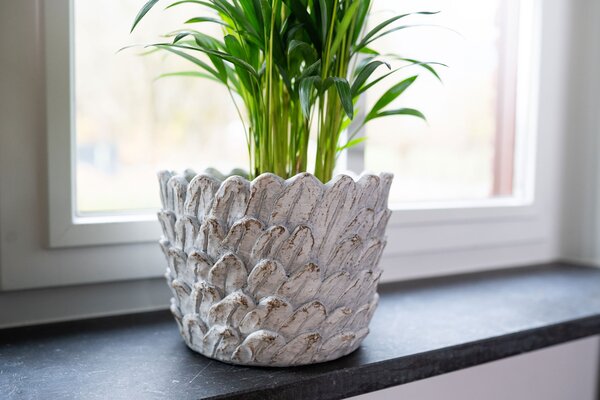 Ter Steege Sada 4 obalů Pine ivory D36 H27