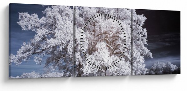 Obraz - Sněhobílý strom (s hodinami) (90x30 cm)