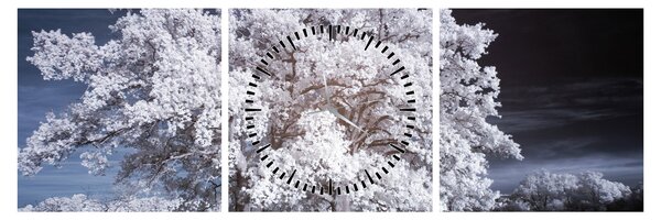Obraz - Sněhobílý strom (s hodinami) (90x30 cm)