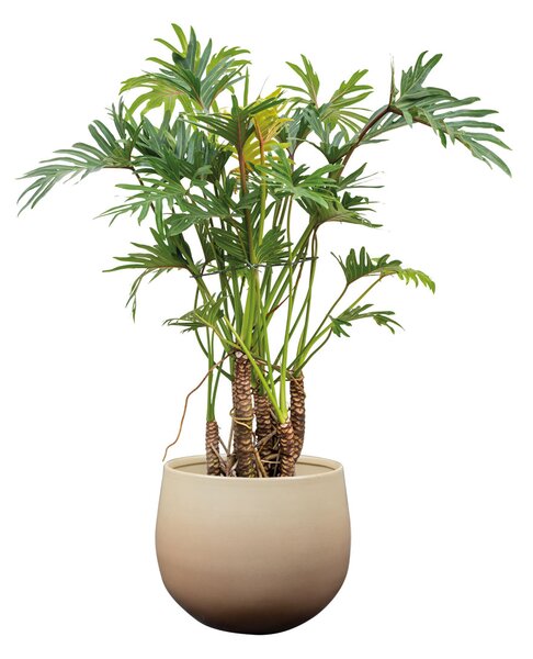 Ter Steege Sada 3 obalů Chantal camel D28 H25