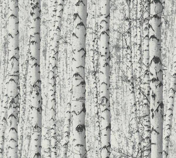 A.S. Création | Vliesová tapeta na zeď PintWalls 38719-1 | 0,53 x 10,05 m | černobílá