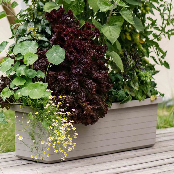 Samozavlažovací velkoobjemový truhlík Berberis TRIO taupe 117 cm