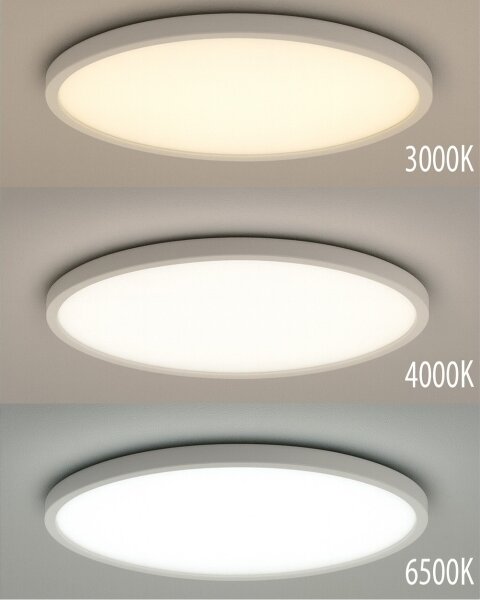 LED Stropní svítidlo LED/40W/230V 3000/4000/6500K pr. 50 cm bílá