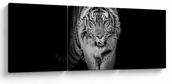 Obraz - Tygr se žlutýma očima (s hodinami) (90x30 cm)