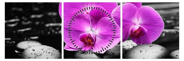 Obraz - Fialové orchideje (s hodinami) (90x30 cm)