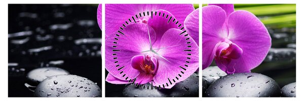 Obraz - Orchideje (s hodinami) (90x30 cm)