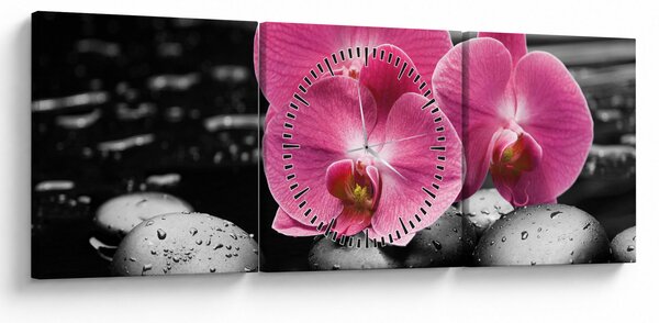 Obraz - Růžové orchideje (s hodinami) (90x30 cm)