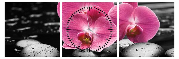 Obraz - Růžové orchideje (s hodinami) (90x30 cm)