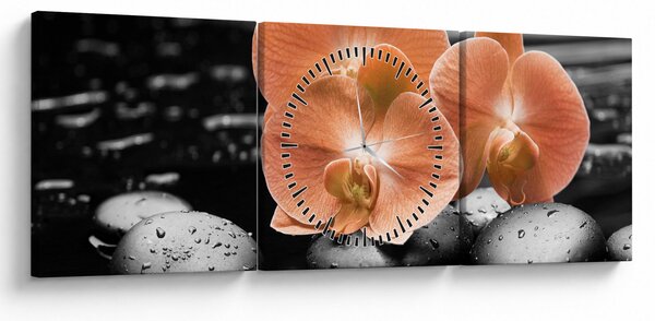 Obraz - Oranžové orchideje (s hodinami) (90x30 cm)