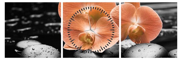 Obraz - Oranžové orchideje (s hodinami) (90x30 cm)